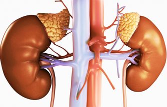 Kidney Diseases